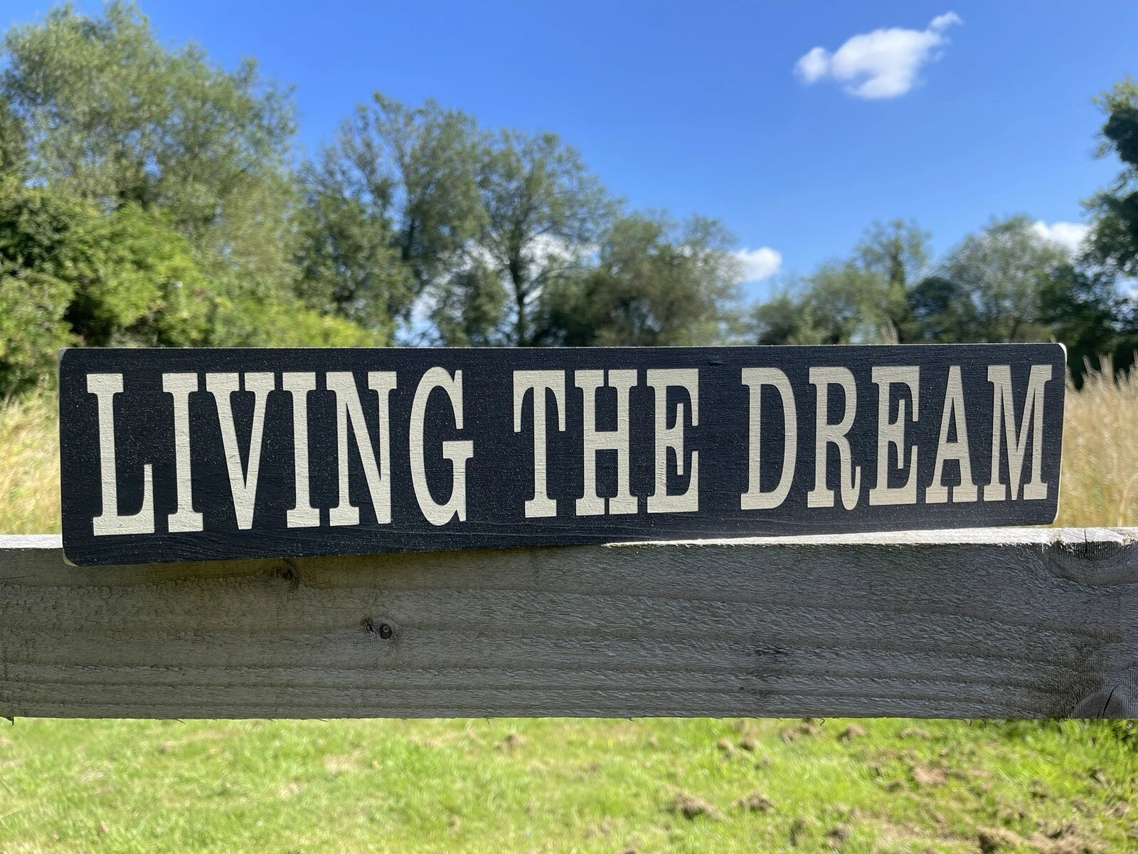 LIVING THE DREAM